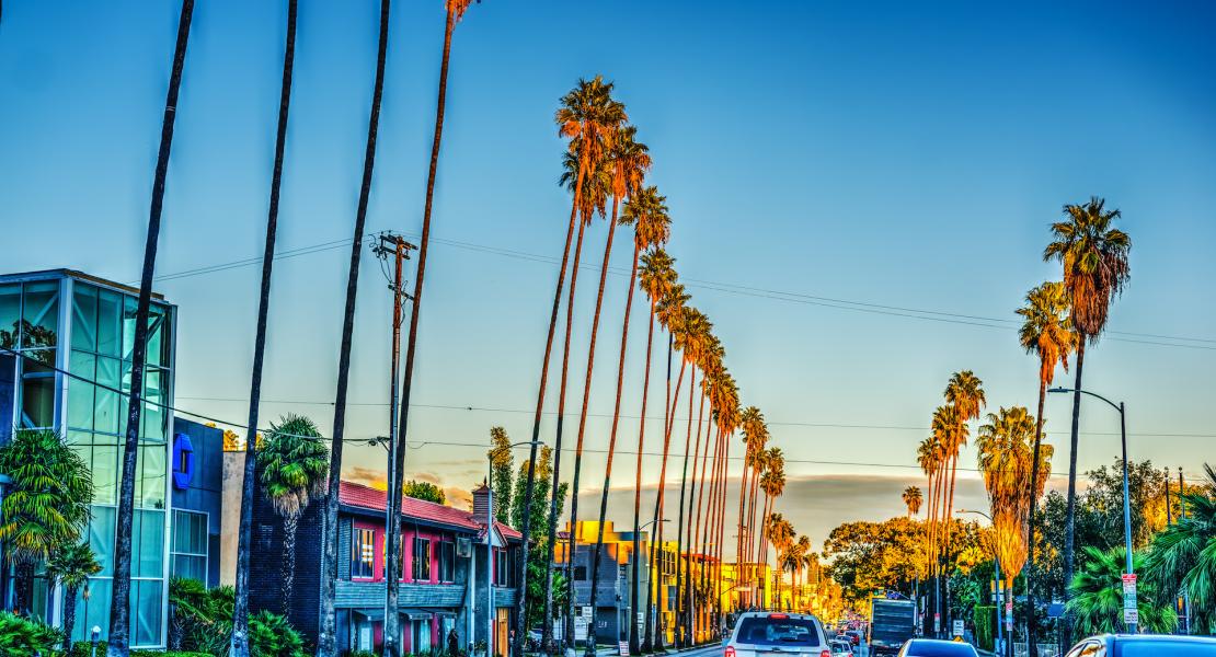 Our readiness services are focused on improving local self-sufficiency and independence, as well as improving crucial health and safety structures that serve as a base for increased international investment and tourism